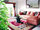 micro Large Luxury Beachside Condo