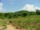 micro Almost 23 Rai of Land Ready 