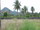 micro 2 Rai and 500 sqm. - Bangsaray Land