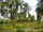 micro Na Jomtien country side, Beautiful land
