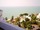 micro Wongamat Beach Condo , Fully Furnished
