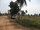 micro 6 Rai land for sale in Baan Ampur