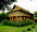 micro GOLDEN TEAK WOODEN HOUSE