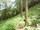 micro Land - Koh Naka , Phuket north east