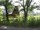 micro Land - Cherngtalay , Phuket north west