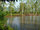 micro 28 rai with Mature Trees