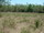 micro The land is an estimated 4 rai