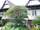 micro Thai House for rent 118 sqw