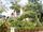 micro located in a luxury village project