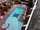 micro Must see,balcony overlooks swimming pool