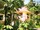 micro Koh Samui Solitude Bungalows (bungalow)