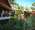 micro New Star Beach Resort
