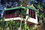 micro Kata Cottage, Kata