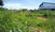 micro Naklua (1 Rai + 96 TW - 1,984 Sq.m)