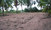 micro Close to Phoenix Golf Course