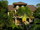 micro LOCATION -- LOCATION Pratamnak Hill 