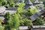 micro Peaks Garden Condominiums