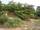 micro land for sale 1 Rai 100 Sqw.