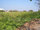 micro Land for sale suitable to build house
