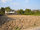 micro Land for sale !!! in Kaset nawamin area