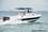 micro Gulf Craft 31 Walkaround for sale