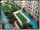 micro BB-A1132 Park Lane Jomtien Resort 1 Bed