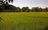 micro 9.5 Hectares Farmlot