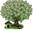 micro WE OFFER ALL KINDS OF LOAN AT 3% NOW