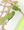 micro Fresh Fertile Parrot Eggs and Birds For