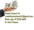 micro EMERGENCY LOANS, URGENT LOAN