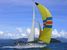 tn 1 41' Tasman Yachts Adam11.9 racing Sloop