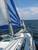 tn 3 36' Whiting