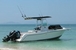 tn 1 DK Yachts Robalo 2420