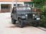 tn 1 Classic American Military Jeep