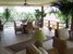 tn 2 Island for sale!