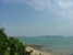 tn 1 Lush, spectacular beachfront property