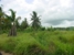 tn 3 17 Rai of Land Ready for Development!