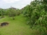 tn 4 2Rai of Prime Land Ready for Development