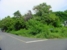 tn 1 1 Rai of Prime Seaview Land Ready