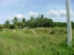 tn 3 44 Rai of Prime Development Land!