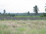 tn 2 2 Rai and 500 sqm. - Bangsaray Land