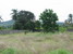 tn 3 2 Rai and 500 sqm. - Bangsaray Land