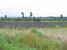tn 5 2 Rai and 500 sqm. - Bangsaray Land