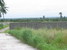tn 6 2 Rai and 500 sqm. - Bangsaray Land