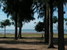 tn 1 BEACH FRONT LAND- 2 Rai in Bang Saray