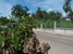 tn 6 BEACH FRONT LAND- 2 Rai in Bang Saray