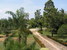 tn 4 Very large house - Huay Yai