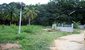 tn 1 Land for Sale : (1 Rai) Maphalia