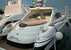 tn 1 Sunseeker predator 58