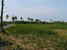 tn 1 Gorgeous wide panoramic countryside view